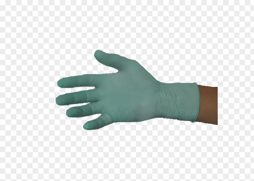 Hand Thumb Model Medical Glove PNG
