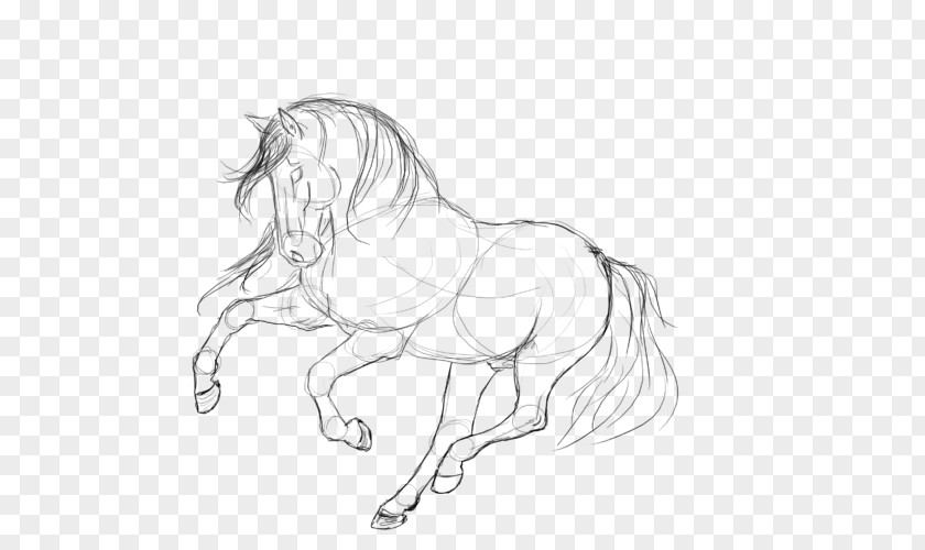 Mustang Howrse Pony Konik Line Art PNG