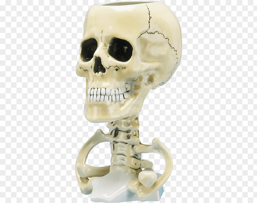 Skull Cup Chalice Human Skeleton PNG