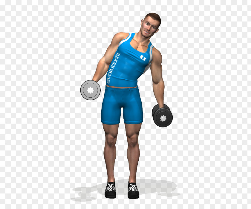 Twist Workout Dumbbell Biceps Curl Physical Fitness Centre Exercise PNG