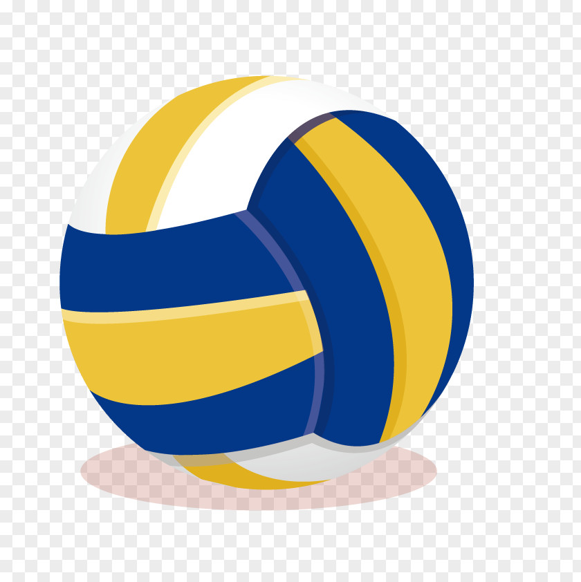 Vector Volleyball Olympic Games Sport U4e45u7c73u5cf6u30deu30e9u30bdu30f3 PNG