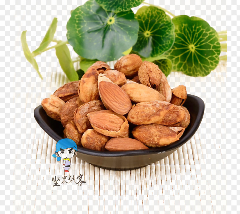 Almond Lotus Leaf Nut Apricot Kernel PNG