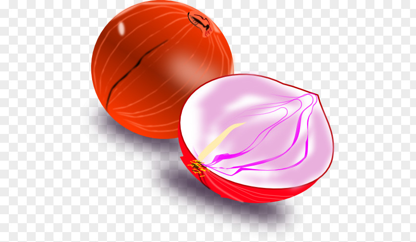 Design Sphere Fruit PNG