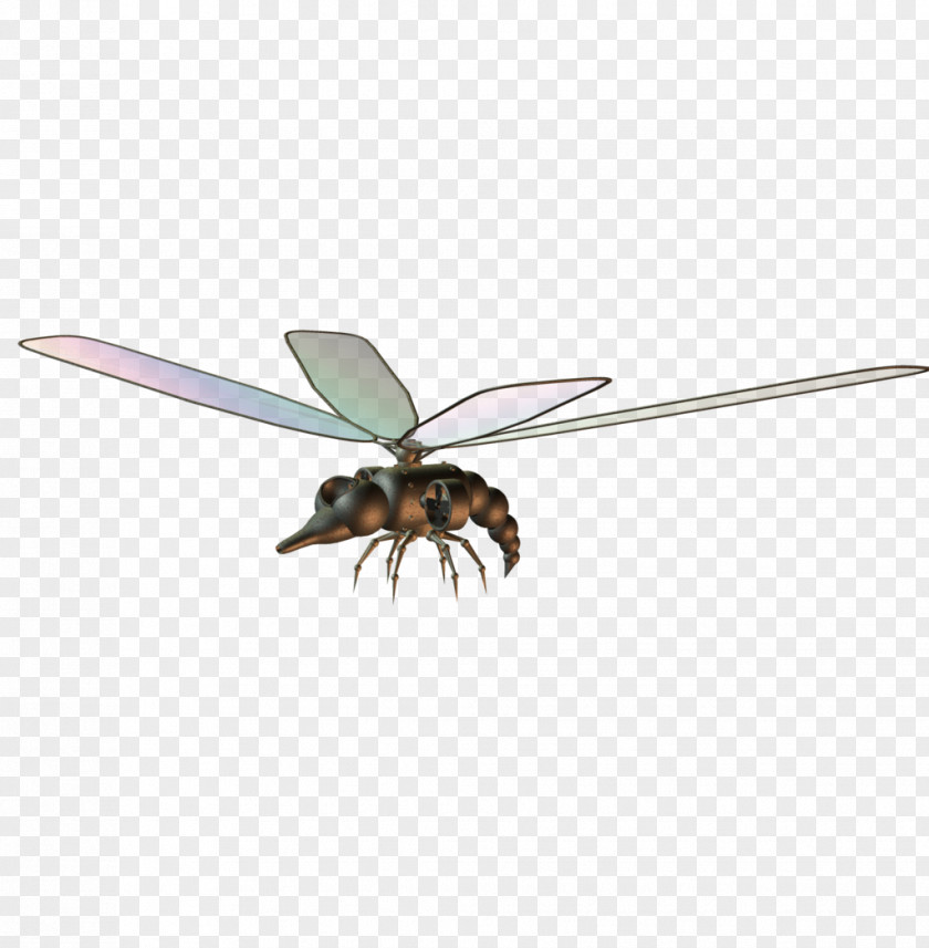 Dragonfly DeviantArt Insect Steampunk PNG