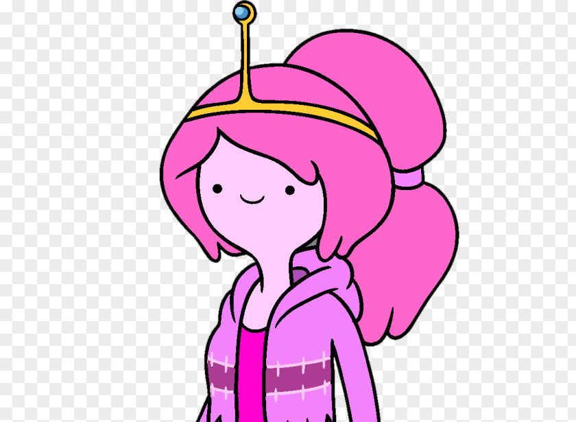 Finn The Human Princess Bubblegum Marceline Vampire Queen Ice King Chewing Gum PNG