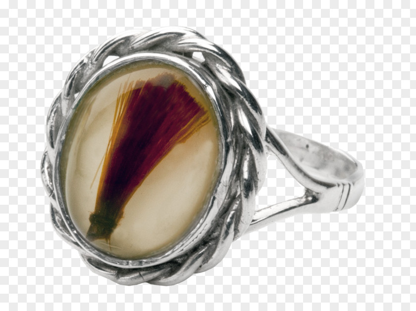 Ring Cremation Jewellery Funeral Lock Of Hair PNG