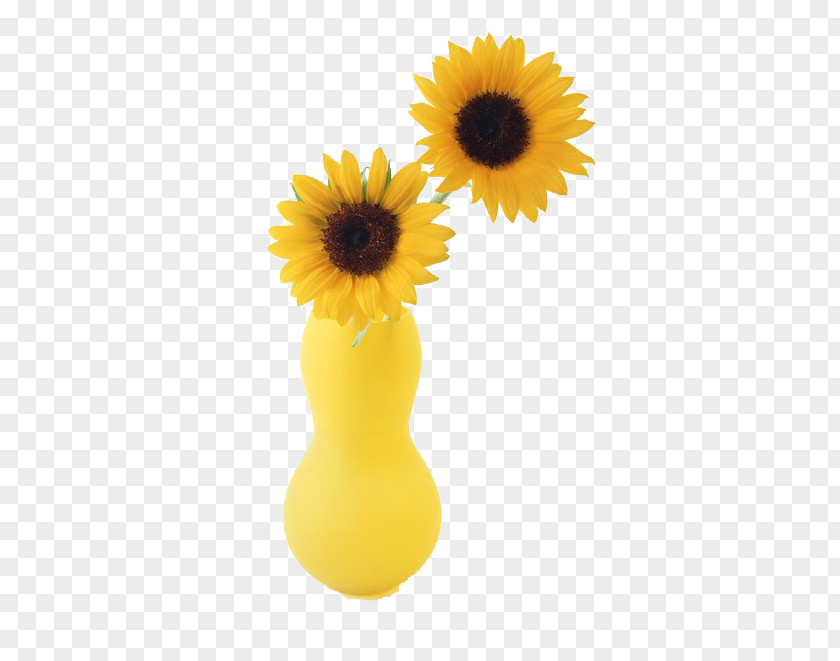 Yellow Vase Two Cut Sunflowers Common Sunflower PNG