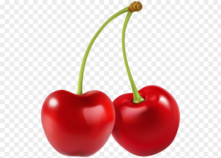 Cherry Sour Fruit Clip Art PNG