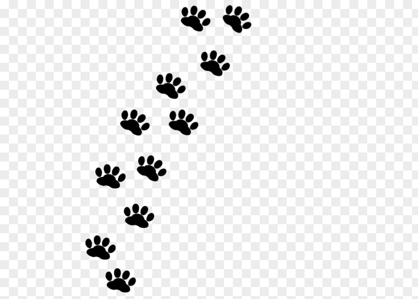 Footprint Paw Siamese Cat Scottish Fold Cymric PNG