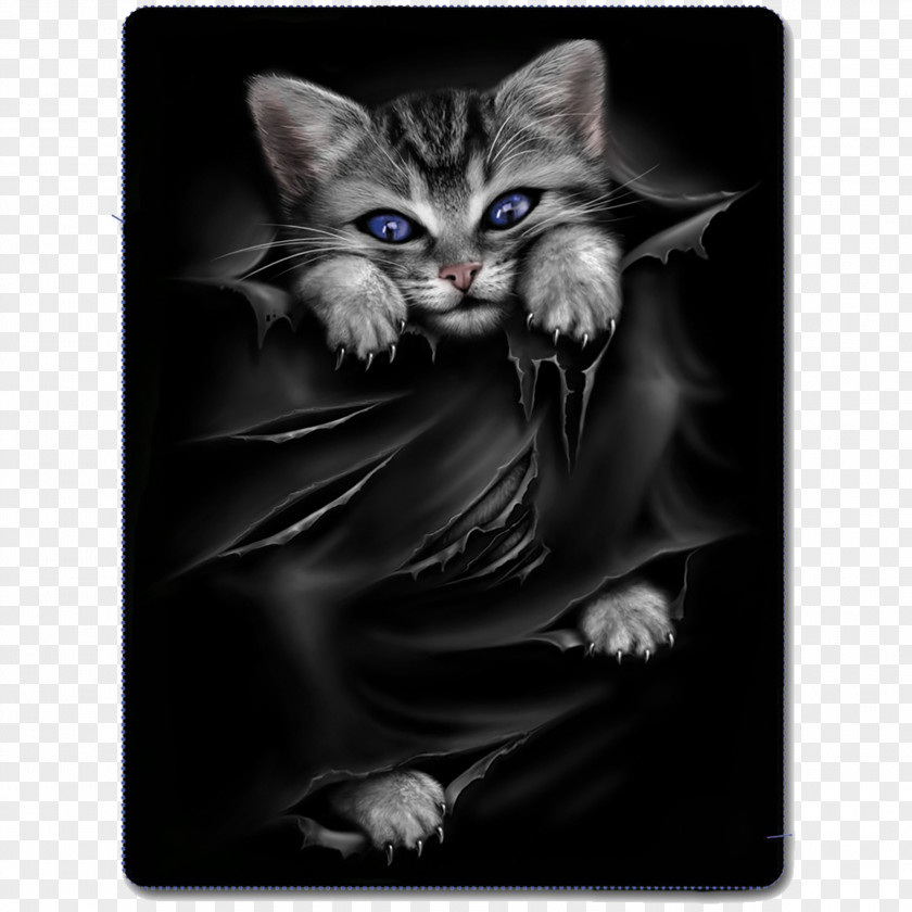 Gothic Cat Fashion Kitten T-shirt Clothing PNG