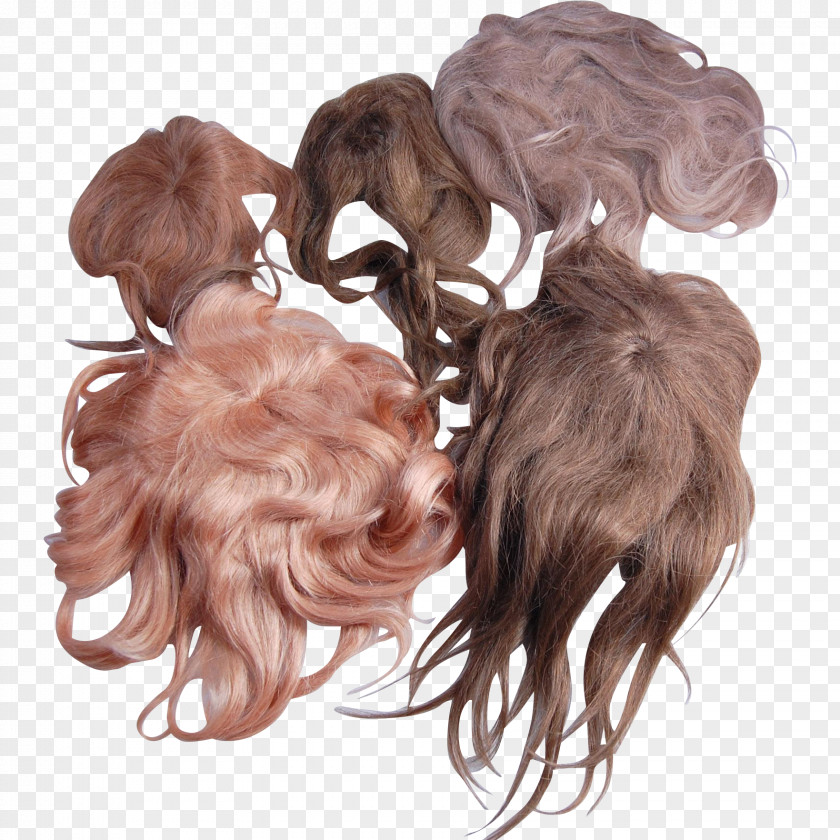 Hair Long Brown Coloring Wig PNG