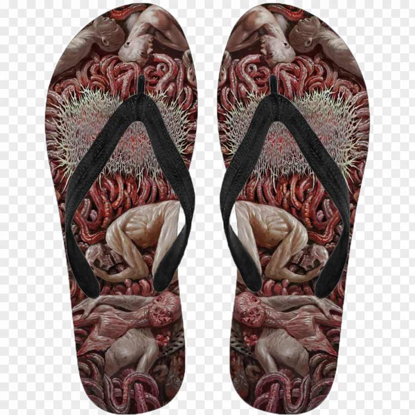 Leggings Mock Up Flip-flops Havaianas Brazil Fashion Shoe PNG