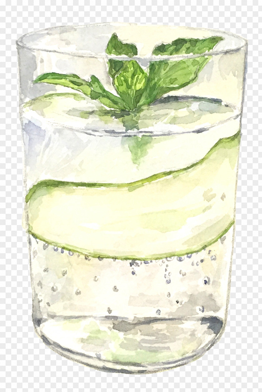 Lime Rickey Mojito Vodka Tonic Gin And PNG