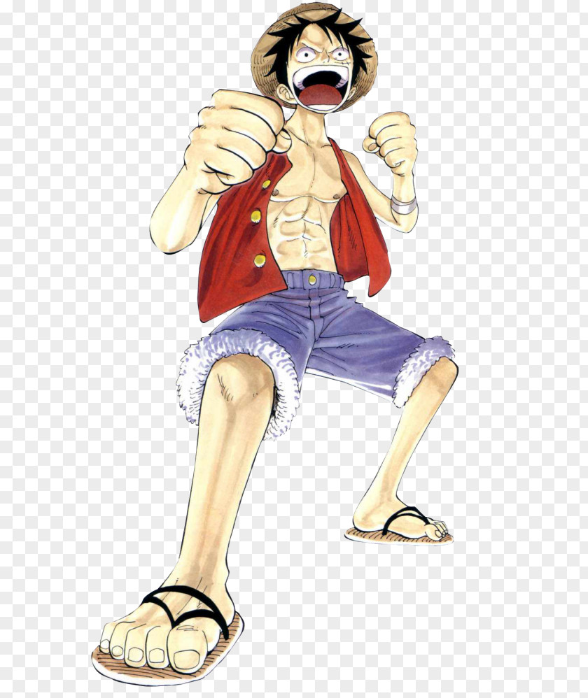 Monkey D.Luffy One Piece D. Luffy Roronoa Zoro The Art Of Shonen Jump: Color Walk, Volume 1 Tony Chopper Brook PNG