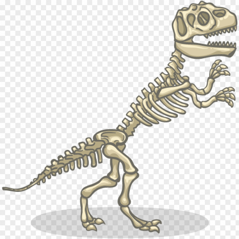Skeleton Tyrannosaurus Velociraptor Dinosaur Diplodocus Allosaurus PNG