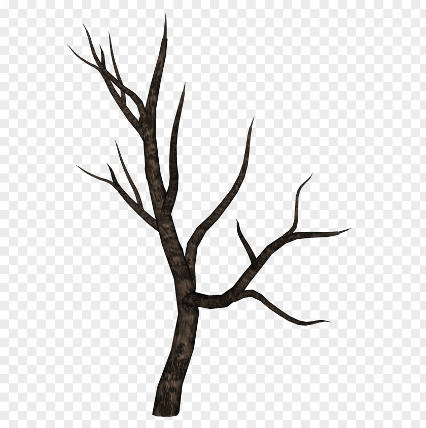 Dead Tree Desktop Wallpaper Surrealism Art Photography PNG