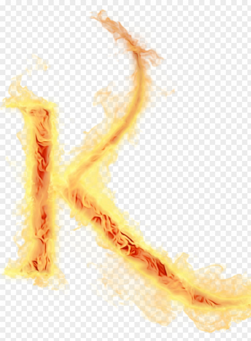 Fire Orange Flame PNG