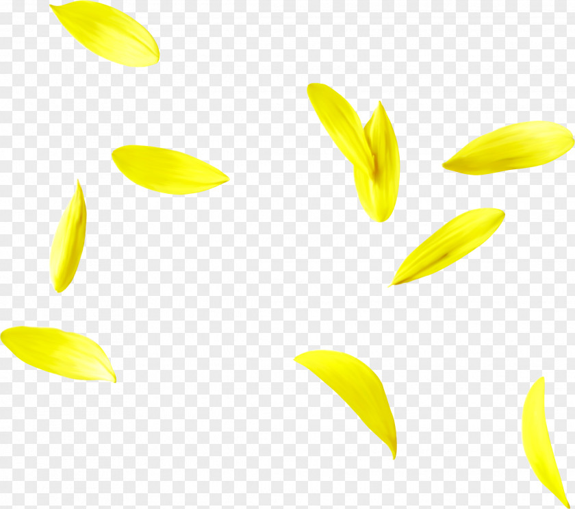 Floating Yellow Petals PNG yellow petals clipart PNG