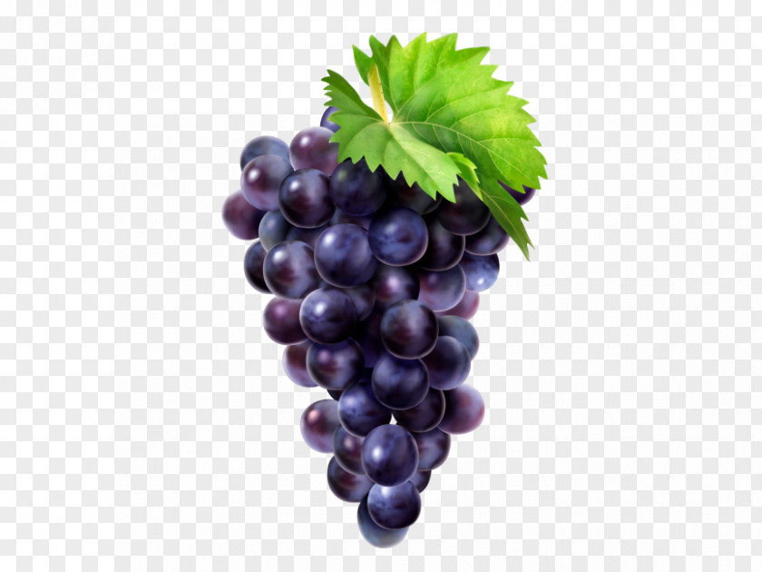 Grape Common Vine Zante Currant Minnesota 78 PNG