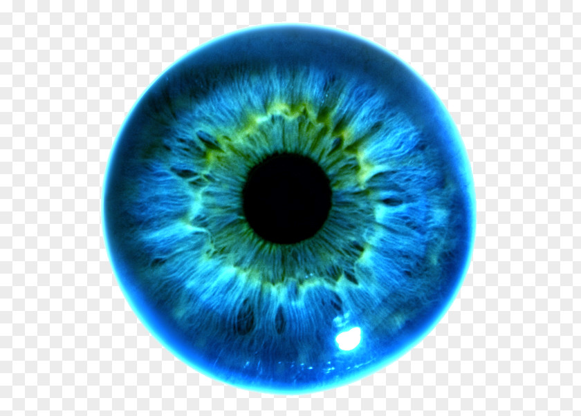 Hi Res Iris Recognition Eye Color Pupil PNG
