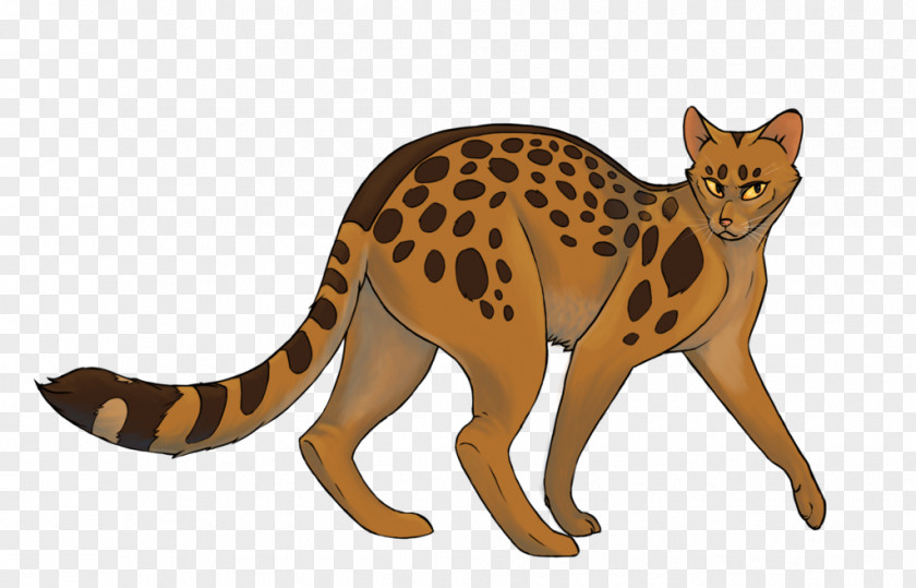 Leopard Cat Warriors Leopardstar Whiskers Erin Hunter PNG