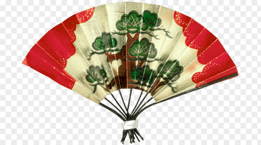 Parachute Home Appliance India Decorative PNG