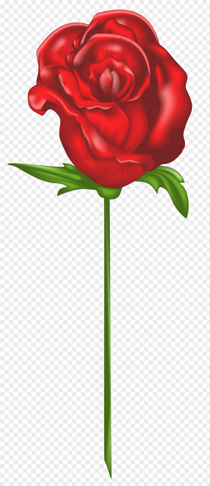 Redrose Icon Clip Art Image Rose PNG