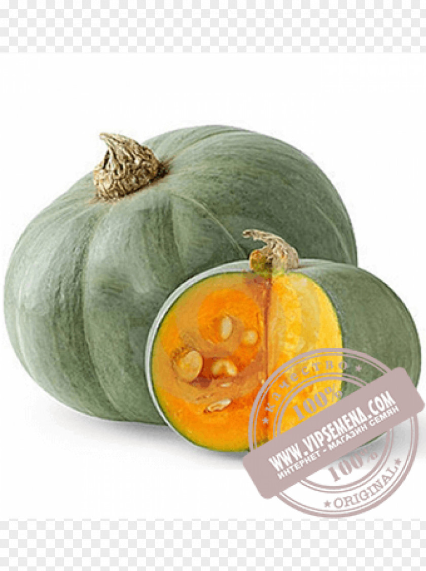 Tamarind Crookneck Pumpkin Cucurbita Maxima Cultivar Seed Auglis PNG