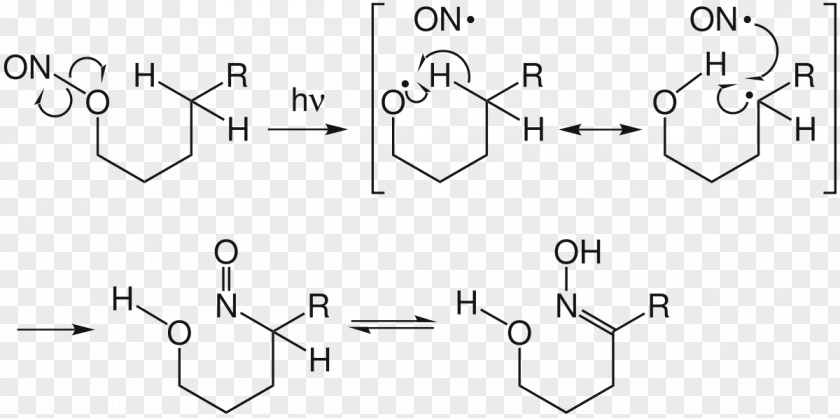 Alkyl Nitrites Barton Reaction Chemical Mechanism Organic /m/02csf PNG
