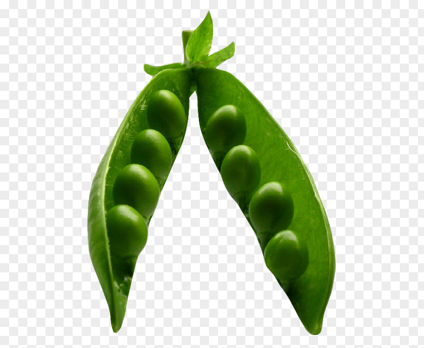 Blue Peas Snap Pea Icon PNG