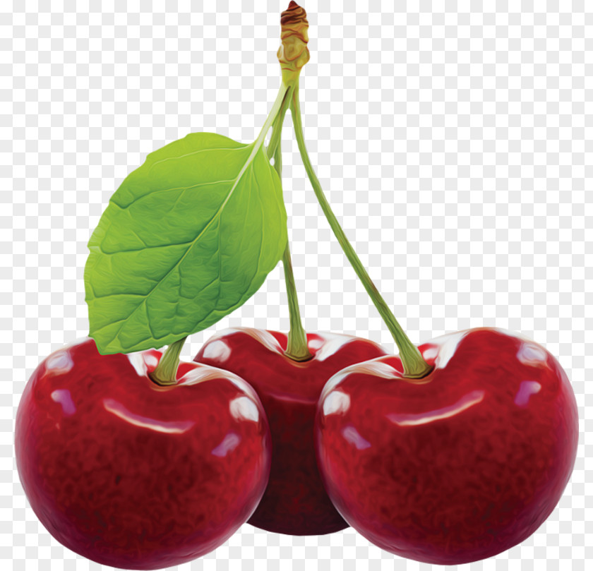 Cherry Black Clip Art Fruit PNG