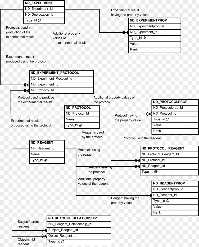 Controlled Vocabulary Document Entity–relationship Model Diagram Japanese Tea Ceremony Drawing PNG