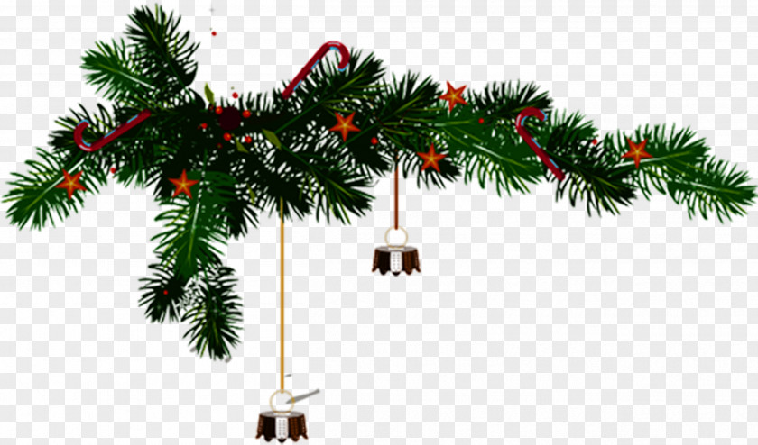 Creative Christmas Single Tree Pine PNG