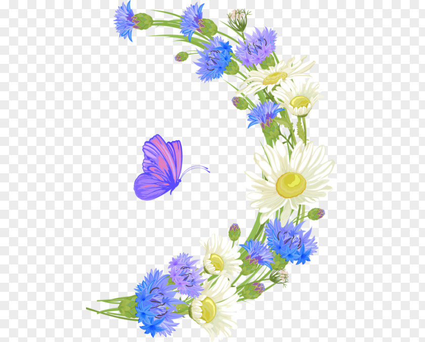 Flower Wreath Borders And Frames Clip Art PNG