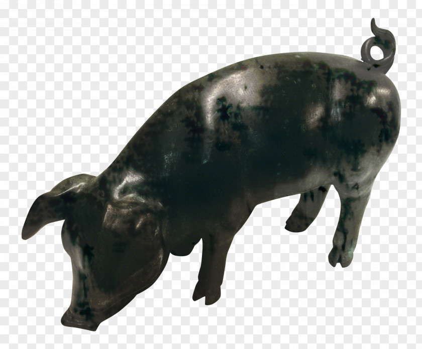 Pig Cattle Snout Terrestrial Animal PNG