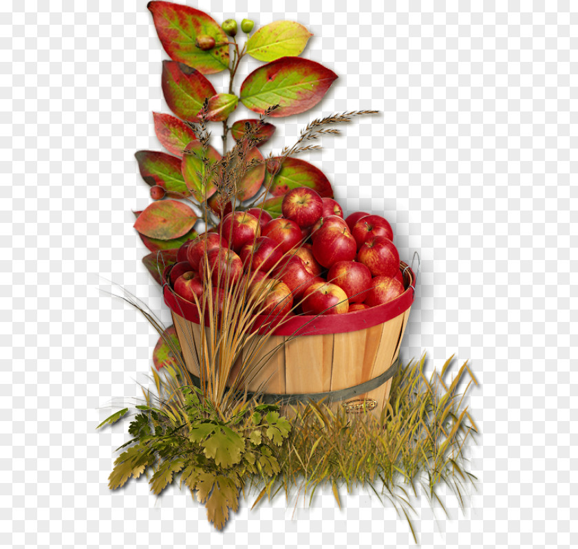 Apple Autumn Harvest PNG