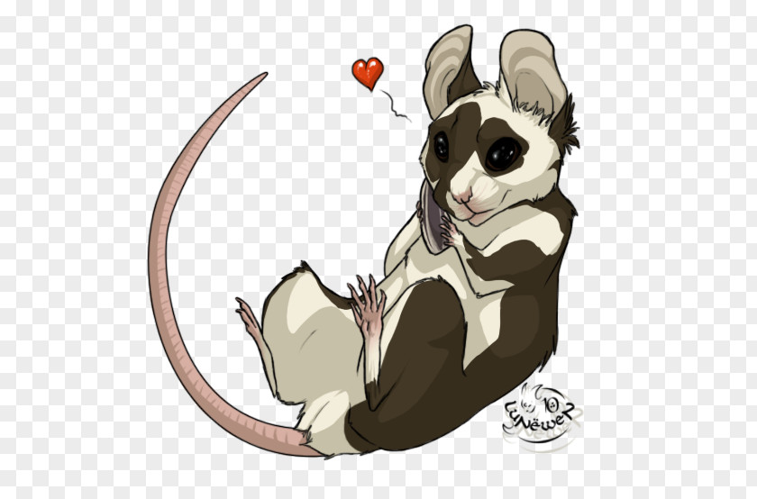 Cat Rat Mouse Marsupial Canidae PNG