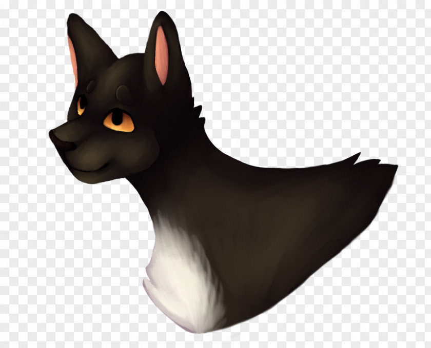 Cat Whiskers Dog Breed Snout PNG