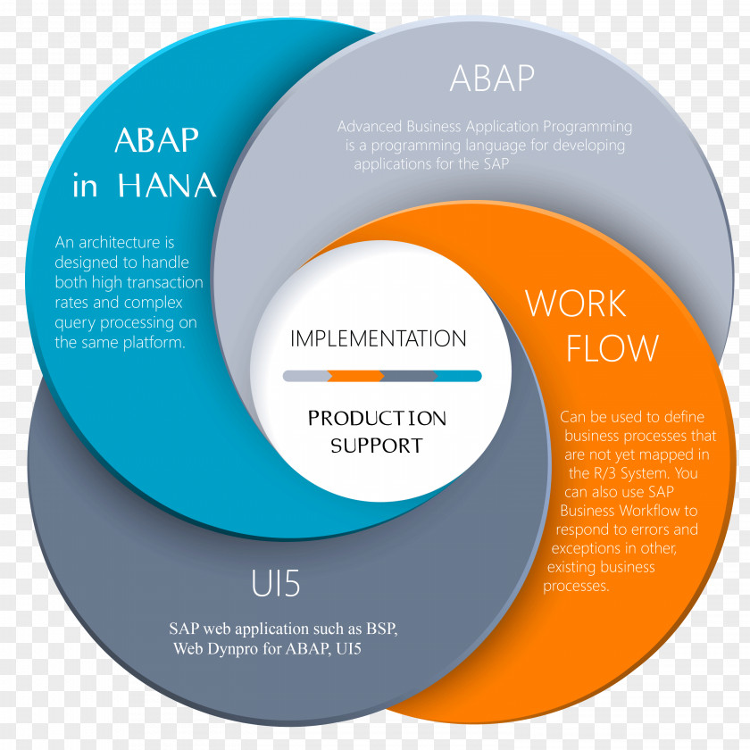 Infographic Circle Graphic Design Brand PNG