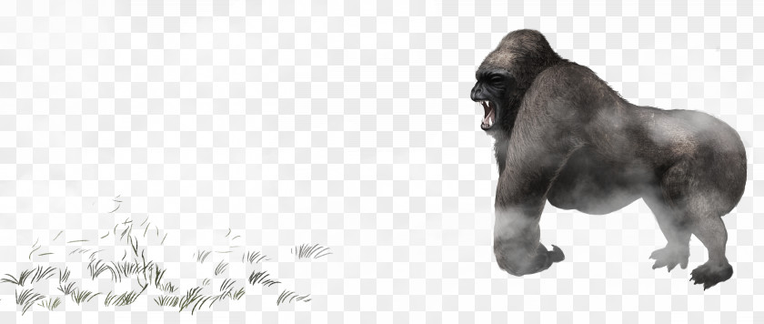 King Kong Gorilla Common Chimpanzee Icon PNG