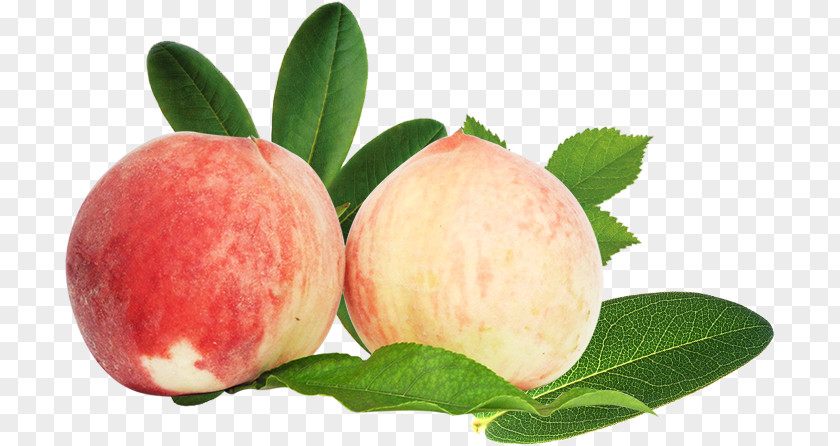 Peaches Nectarine Fruit Auglis PNG
