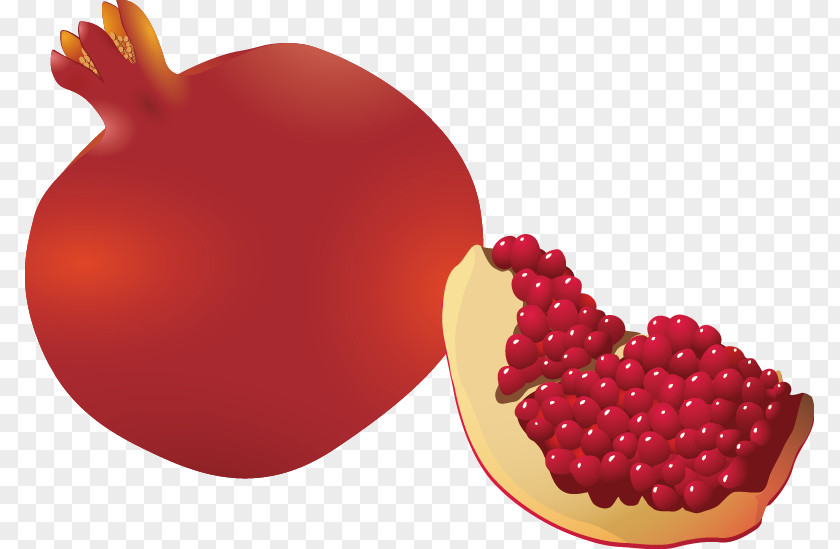 Pomegranate Juice Fruit Illustration PNG