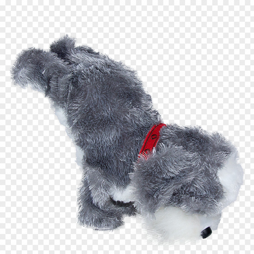 Puppy Miniature Schnauzer Shih Tzu Schnoodle Pumi Dog PNG