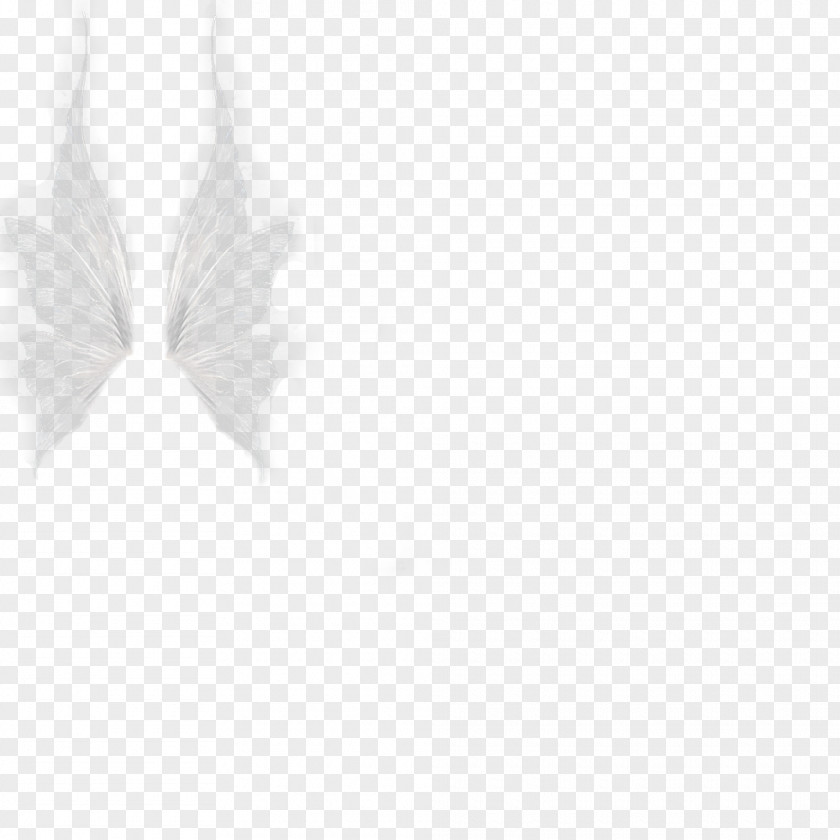 Translucent,wing,angel,dream White Poetry Angle Pattern PNG