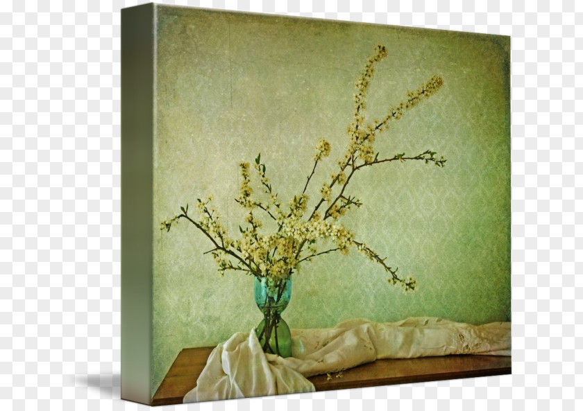 Turquoise Watercolor Still Life Photography Gallery Wrap Canvas PNG
