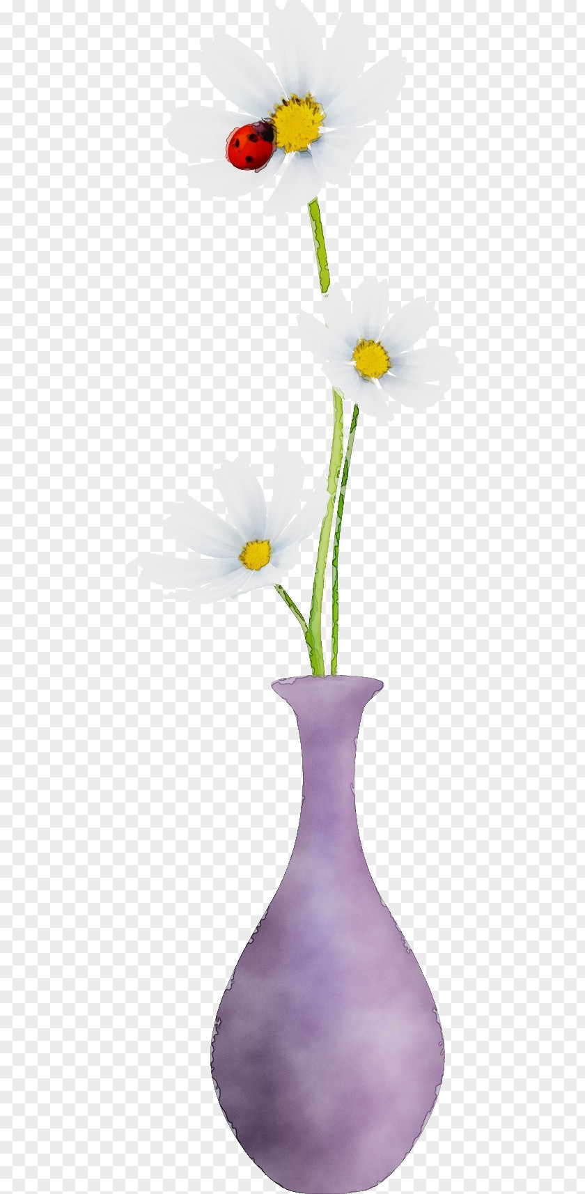 Vase Flower Flowerpot Plant Petal PNG