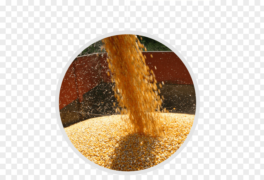 American Ethanol Commodity Ingredient PNG