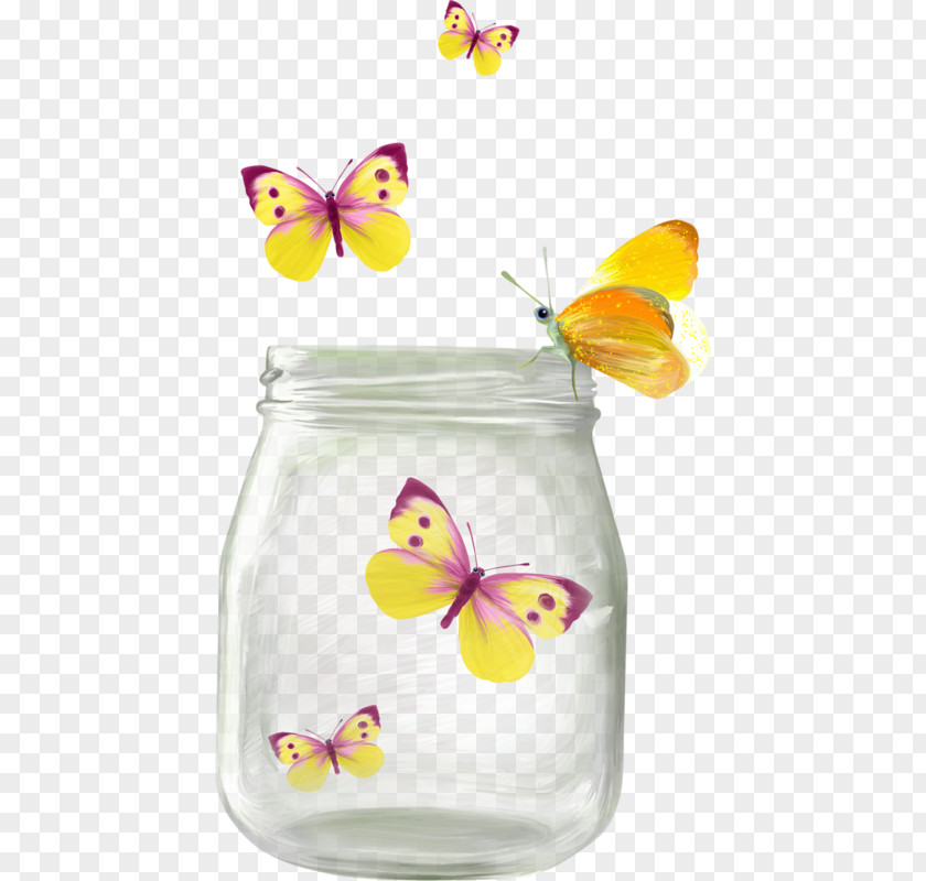 Bottle Butterfly Clip Art PNG