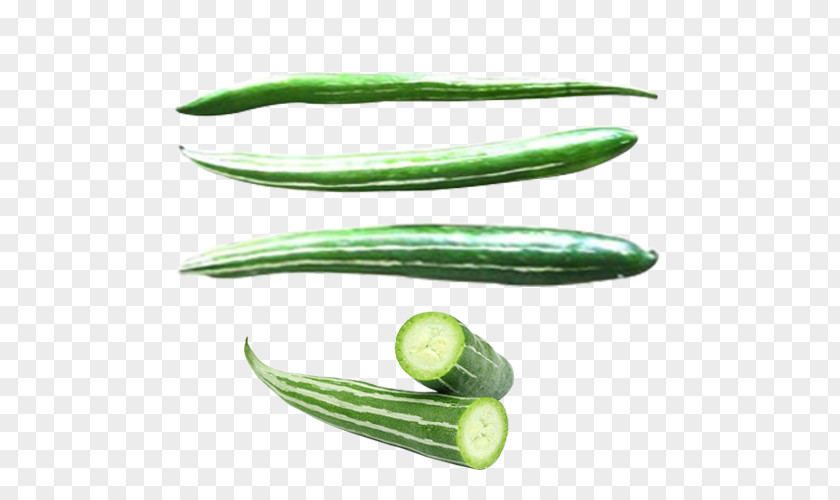 Cucumber Snake Gourd Luffa Vegetable PNG