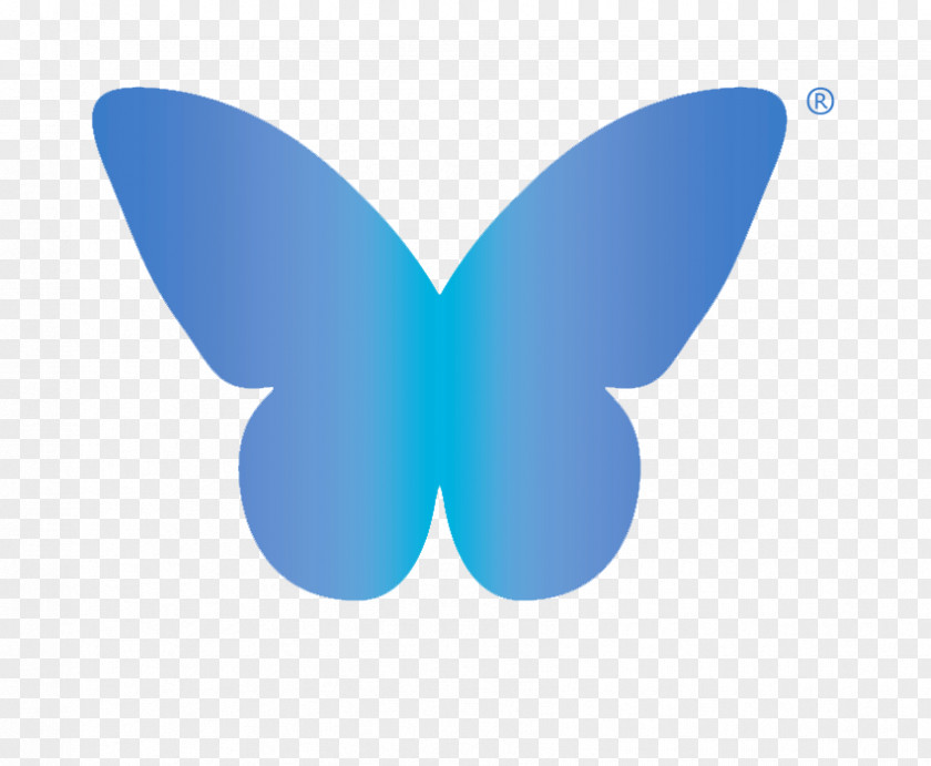 Dream Butterfly Babylon Logo Font HolidayExtras.com Desktop Wallpaper PNG